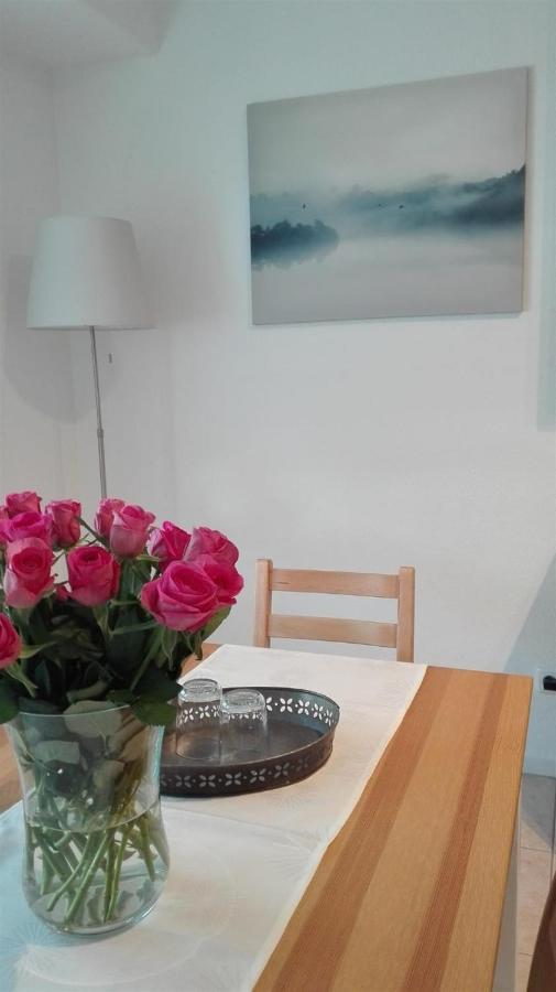 Ferienwohnungen Op Der Kees Irsch 外观 照片